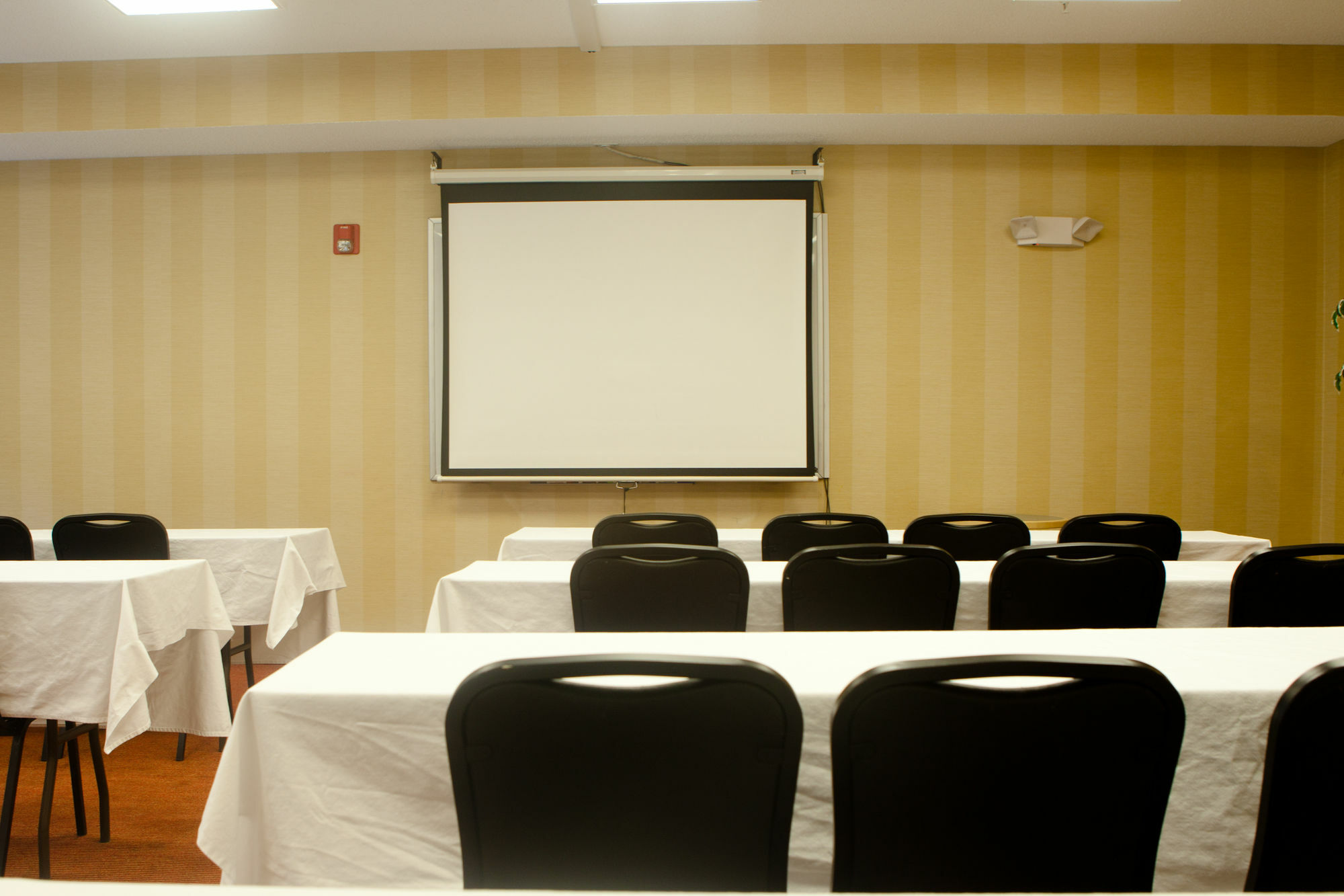 Towneplace Suites Ρότσεστερ Εξωτερικό φωτογραφία